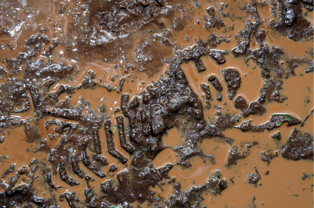 Mud and Footprint