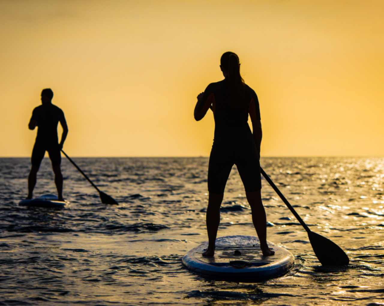 Paddle boarders sea sunset